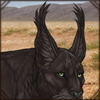 Maybe the longer hair on your ears will help with the bugs? Or maybe you want to look like a lynx?