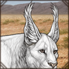Maybe the longer hair on your ears will help with the bugs? Or maybe you want to look like a lynx?