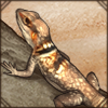 Want to catch some bugs? This distinctive iguana will help you catch all you could ever want!