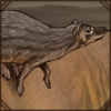 Narrow-Striped Mongoose