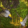 Endemic to Madagascar, this tiny bird wants to join your den. If you keep it, it can protect you from annoying insects when it's hungry.