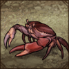 This species prefers freshwater and will have fun with you as long as you let it dive from time to time.