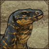 This large lizard is harmless as long as you don't mess with it too much. Otherwise, be prepared for a tail whip!
