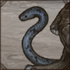 Also known as Leach's wolf snake, this reptile will forage at night to hunt sleeping lizards.