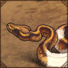 Pastel Piebald Snake