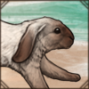 Domestic Rabbit [Seal Point]
