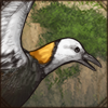 Usually seen in tropical parts of Asia, this curious bird wants to join your den. These birds feel at home around lakes, so don't forget to show it some good spots in your area! Part of the Singaporean set.