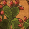 pricklypear.png