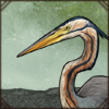 This big heron hunts among high reeds, able to walk on floating vegetation across deep waters.