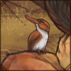 pygmykingfisher.png