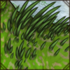 Quills sprout from your lion's body, turning them into a porcupine-lion!