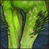 Quills sprout from your lion's legs, turning them into a porcupine-lion!