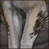 Quills sprout from your lion's legs, turning them into a porcupine-lion!