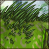 Quills sprout from your lion's tail, turning them into a porcupine-lion!