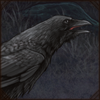 Common Raven [1]