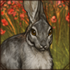Comfy Riverine Rabbit