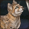 sandcat_icon.png
