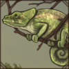 shorthornedchameleon.png