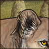 A fossilized tooth makes the perfect earring!