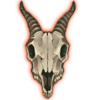 Gazelle Skull Decor