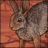 Smith's Red Rock Hare