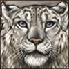 [GE - Himalaya] Snow Leopard