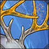 Sparkly Antlers (NEW!)