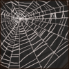 Spiderweb [Thick]