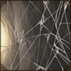 Spiderweb [Veil]