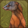 stripedneckedmongoose.png