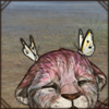 This delicate, beautiful butterfly has decided to enjoy your lion's company for a while.