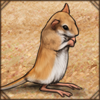 Another cute friend for you to scoop up and never let anything happen to. It's so tiny and innocent!