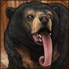 sunbear.png