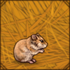 syrianhamster.png
