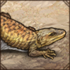 Flop! This lizard knows just how to pass the time: splooting in a sun bath!