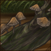 treemushrooms.png