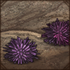 They are moving, although slowly! Watch where you step!