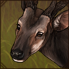 visspotdeer.png