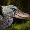 wanderingshoebill.png