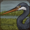The plumage of this type of heron can be dark gray, completely white, or any shade of gray. Its feathers would look great in your mane.