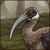 As one of the most threatened bird species in Africa, this bird could use your protection! Part of the Laos theme set.