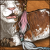 With tufts of fur dyed in colors of your choosing, these earrings let you show your true colors with pride!
