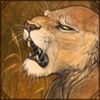 Yawning Dwarf Lioness