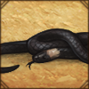 Venomous snake feeding mainly on smaller snakes. You're safe, somewhat.