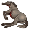 abyssinianHcarcass.png