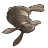 bunnycarcass.png