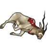 carcass_addax.png