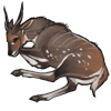 carcass_bushbuck.png