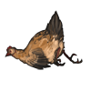 carcass_chicken.png