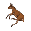 carcass_duiker.png